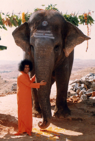 Beloved Bhagawan Sri Sathya Sai Baba